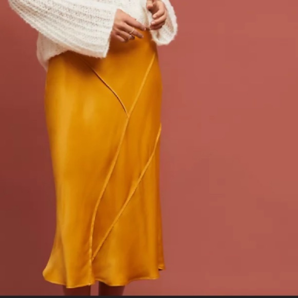 Anthropologie Dresses & Skirts - Anthropologie x Saturday Sunday | Valora midi skirt NWOT